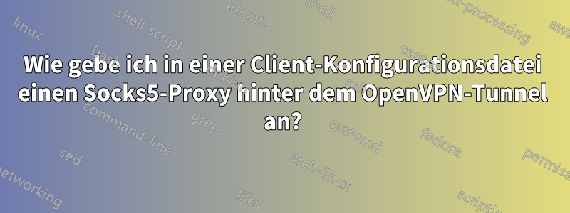 Wie gebe ich in einer Client-Konfigurationsdatei einen Socks5-Proxy hinter dem OpenVPN-Tunnel an?