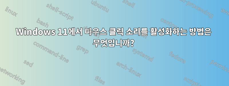 Windows 11에서 마우스 클릭 소리를 활성화하는 방법은 무엇입니까?