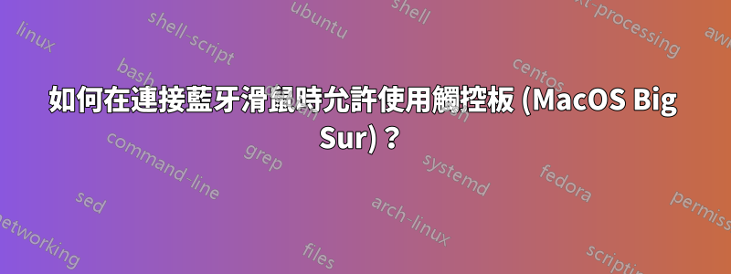 如何在連接藍牙滑鼠時允許使用觸控板 (MacOS Big Sur)？