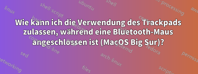 Wie kann ich die Verwendung des Trackpads zulassen, während eine Bluetooth-Maus angeschlossen ist (MacOS Big Sur)?