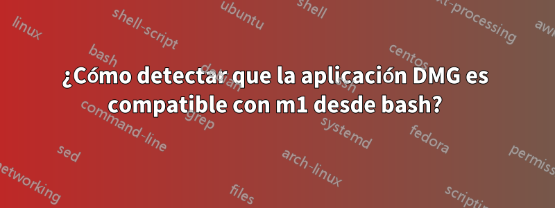 ¿Cómo detectar que la aplicación DMG es compatible con m1 desde bash?