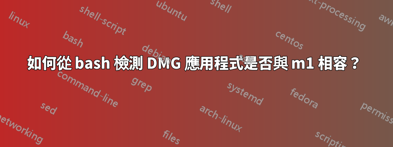 如何從 bash 檢測 DMG 應用程式是否與 m1 相容？