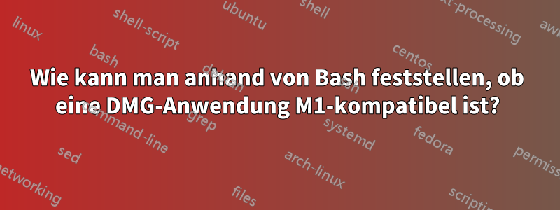 Wie kann man anhand von Bash feststellen, ob eine DMG-Anwendung M1-kompatibel ist?