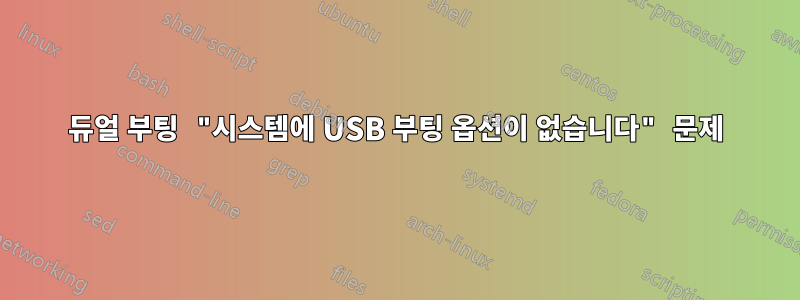 듀얼 부팅 "시스템에 USB 부팅 옵션이 없습니다" 문제