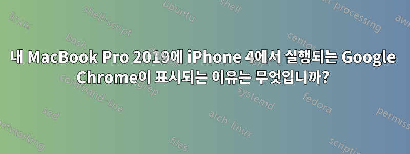 내 MacBook Pro 2019에 iPhone 4에서 실행되는 Google Chrome이 표시되는 이유는 무엇입니까?