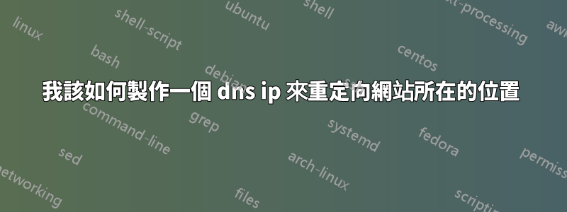 我該如何製作一個 dns ip 來重定向網站所在的位置