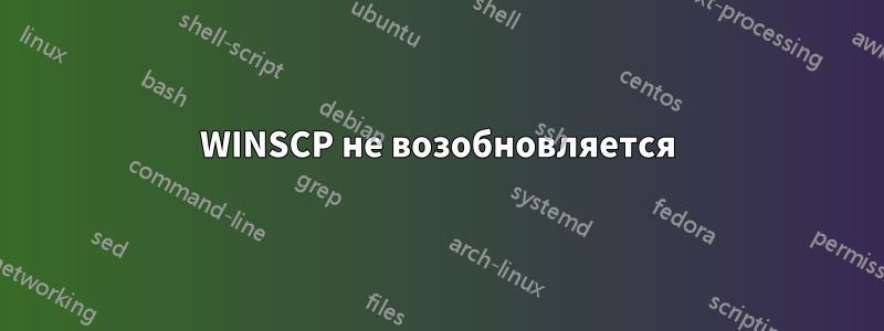 WINSCP не возобновляется