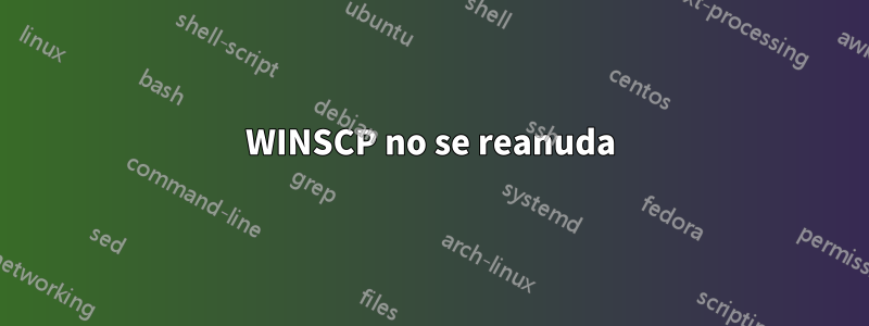 WINSCP no se reanuda