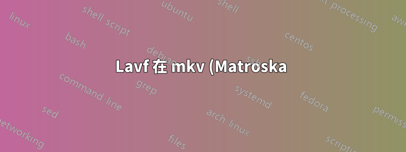 Lavf 在 mkv (Matroska) 容器中建立元素 id 為 BF 的神秘元素