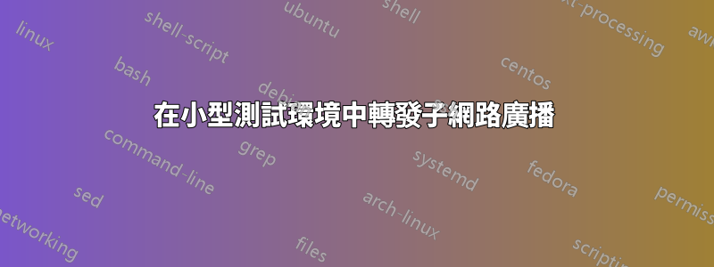 在小型測試環境中轉發子網路廣播