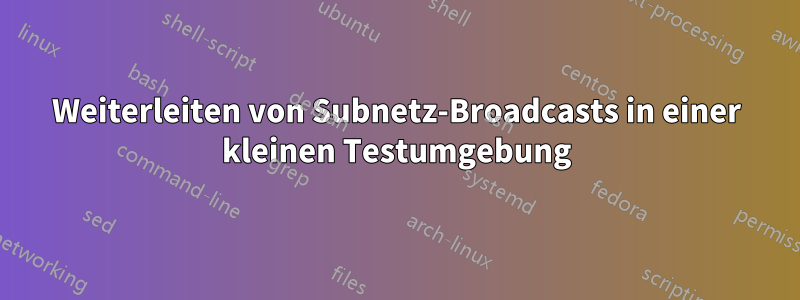 Weiterleiten von Subnetz-Broadcasts in einer kleinen Testumgebung