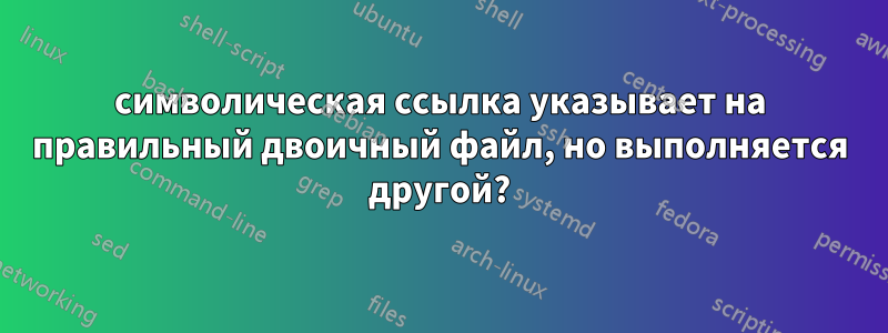 символическая ссылка указывает на правильный двоичный файл, но выполняется другой?