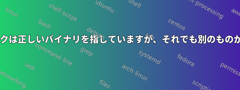 シンボリックリンクは正しいバイナリを指していますが、それでも別のものが実行されますか?