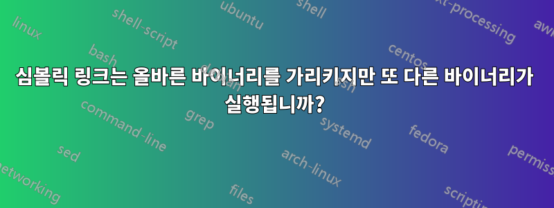 심볼릭 링크는 올바른 바이너리를 가리키지만 또 다른 바이너리가 실행됩니까?