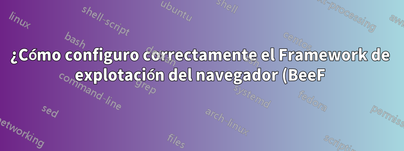 ¿Cómo configuro correctamente el Framework de explotación del navegador (BeeF) con ngrok?