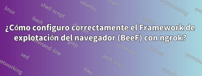 ¿Cómo configuro correctamente el Framework de explotación del navegador (BeeF) con ngrok?