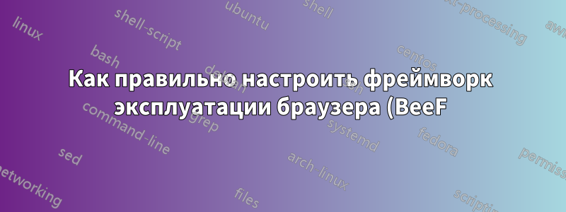 Как правильно настроить фреймворк эксплуатации браузера (BeeF) с помощью ngrok?