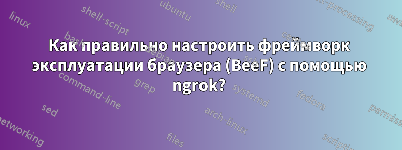 Как правильно настроить фреймворк эксплуатации браузера (BeeF) с помощью ngrok?