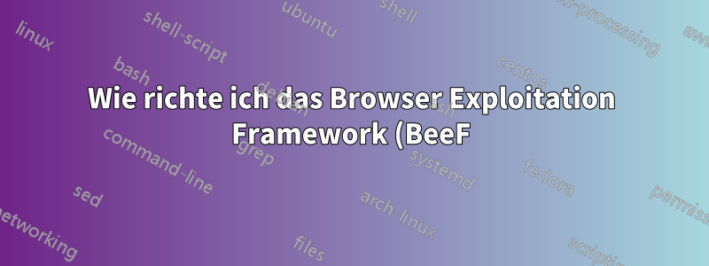 Wie richte ich das Browser Exploitation Framework (BeeF) mit ngrok richtig ein?