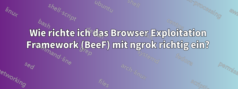 Wie richte ich das Browser Exploitation Framework (BeeF) mit ngrok richtig ein?