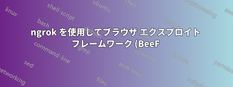 ngrok を使用してブラウザ エクスプロイト フレームワーク (BeeF) を適切に設定するにはどうすればよいですか?