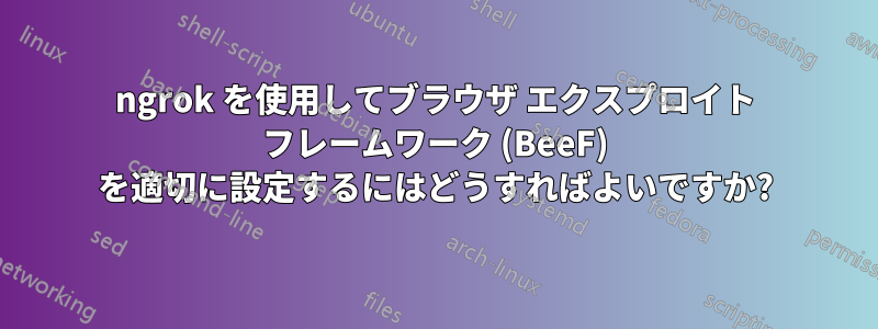 ngrok を使用してブラウザ エクスプロイト フレームワーク (BeeF) を適切に設定するにはどうすればよいですか?