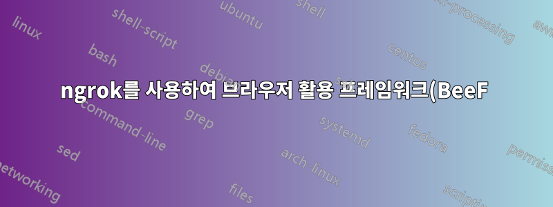 ngrok를 사용하여 브라우저 활용 프레임워크(BeeF)를 올바르게 설정하려면 어떻게 해야 합니까?