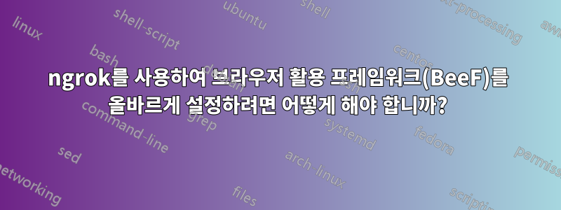 ngrok를 사용하여 브라우저 활용 프레임워크(BeeF)를 올바르게 설정하려면 어떻게 해야 합니까?