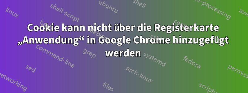 Cookie kann nicht über die Registerkarte „Anwendung“ in Google Chrome hinzugefügt werden