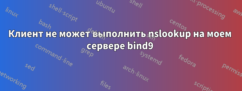 Клиент не может выполнить nslookup на моем сервере bind9