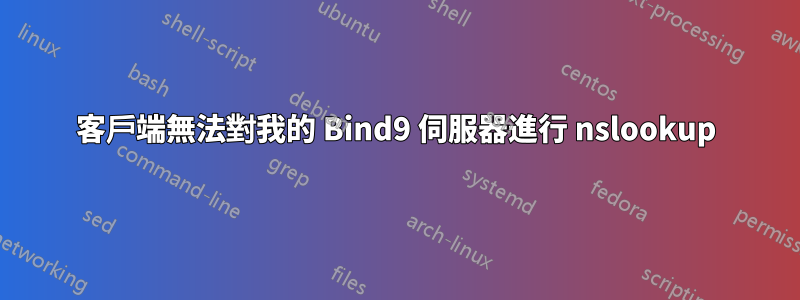 客戶端無法對我的 Bind9 伺服器進行 nslookup