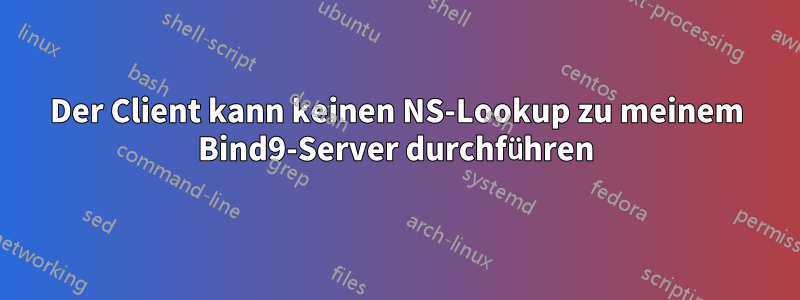 Der Client kann keinen NS-Lookup zu meinem Bind9-Server durchführen