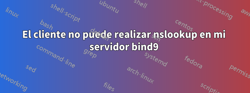 El cliente no puede realizar nslookup en mi servidor bind9