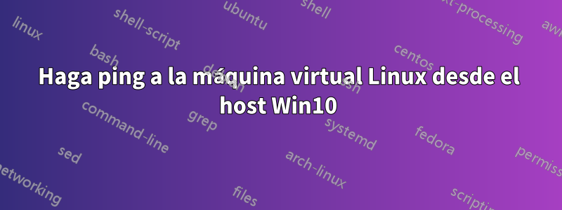 Haga ping a la máquina virtual Linux desde el host Win10