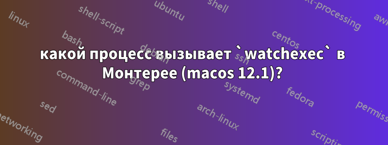 какой процесс вызывает `watchexec` в Монтерее (macos 12.1)?