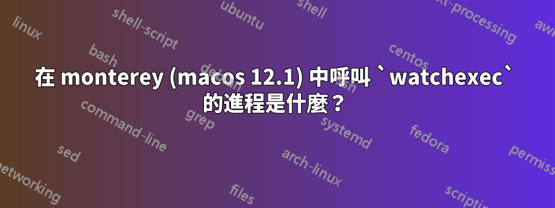 在 monterey (macos 12.1) 中呼叫 `watchexec` 的進程是什麼？