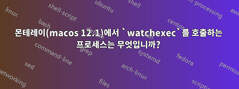 몬테레이(macos 12.1)에서 `watchexec`를 호출하는 프로세스는 무엇입니까?