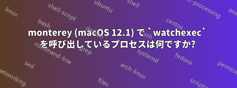 monterey (macOS 12.1) で `watchexec` を呼び出しているプロセスは何ですか?