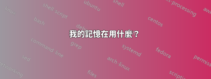 我的記憶在用什麼？