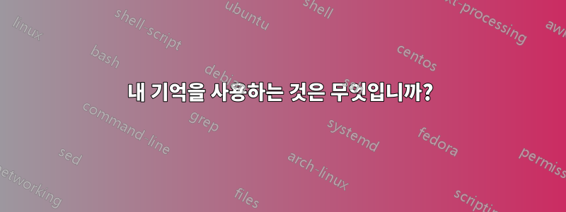 내 기억을 사용하는 것은 무엇입니까?