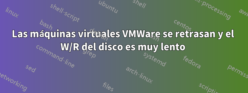 Las máquinas virtuales VMWare se retrasan y el W/R del disco es muy lento