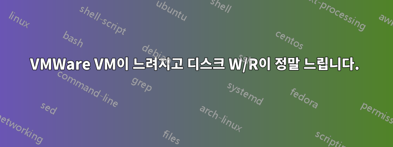 VMWare VM이 느려지고 디스크 W/R이 정말 느립니다.