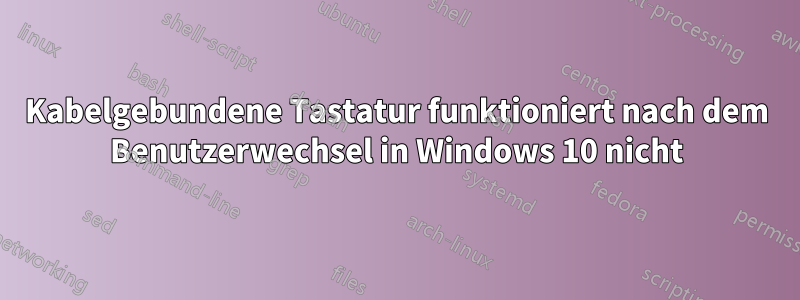 Kabelgebundene Tastatur funktioniert nach dem Benutzerwechsel in Windows 10 nicht