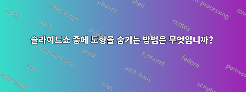 슬라이드쇼 중에 도형을 숨기는 방법은 무엇입니까?