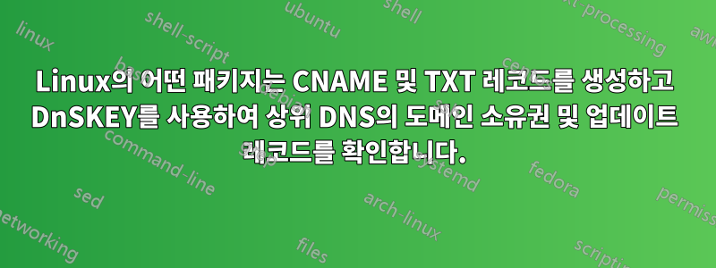 Linux의 어떤 패키지는 CNAME 및 TXT 레코드를 생성하고 DnSKEY를 사용하여 상위 DNS의 도메인 소유권 및 업데이트 레코드를 확인합니다.