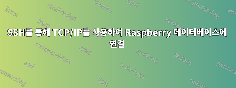 SSH를 통해 TCP/IP를 사용하여 Raspberry 데이터베이스에 연결