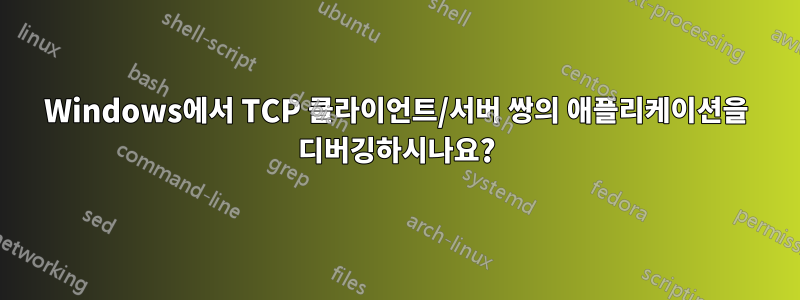 Windows에서 TCP 클라이언트/서버 쌍의 애플리케이션을 디버깅하시나요?
