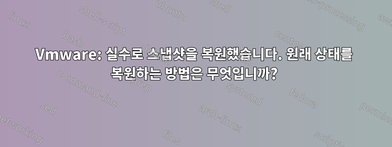 Vmware: 실수로 스냅샷을 복원했습니다. 원래 상태를 복원하는 방법은 무엇입니까?