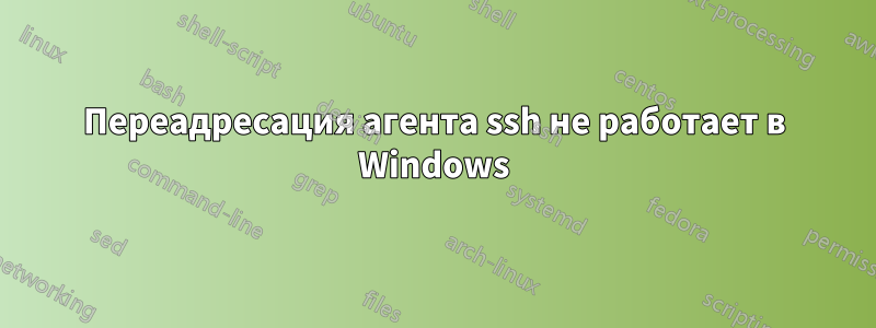 Переадресация агента ssh не работает в Windows