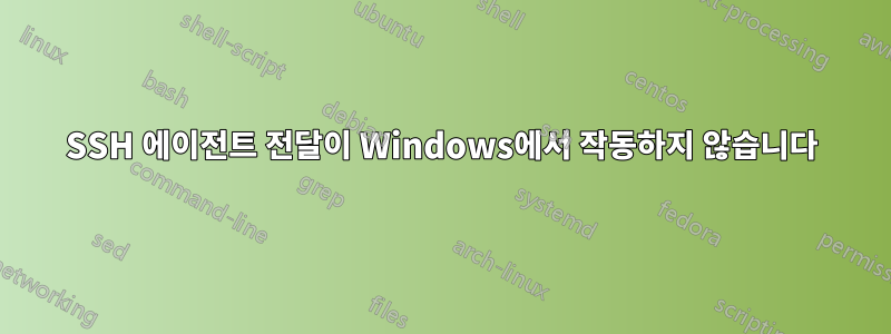 SSH 에이전트 전달이 Windows에서 작동하지 않습니다